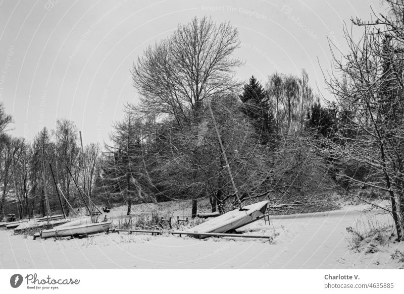 Jollen im Schnee schneebedeckt Winter kalt Winterstimmung Schneedecke Wintertag Außenaufnahme Kälte winterlich Schneelandschaft Boote Boote am Strand verschneit