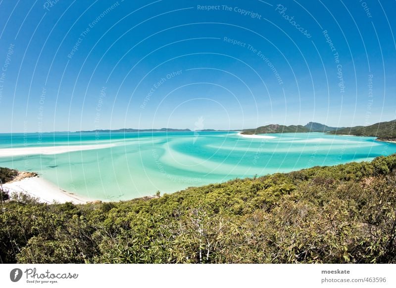 Whitsunday Island - Whitehaven Beach Himmel Wolkenloser Himmel Horizont Sommer Schönes Wetter Strand Bucht Meer Pazifik Karibisches Meer Pazifikstrand Insel