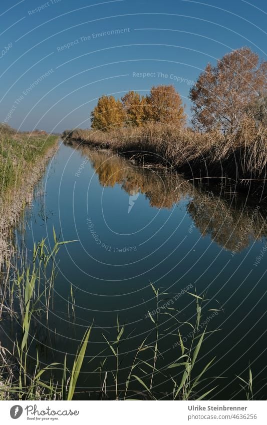 Kanal im Kiskunság-Nationalpark II, Ungarn Wasser Wasserversorgung Bewässerung Entwässerung Wasserwirtschaft Herbst ufer Natur Landschaft Bäume Uferbepflanzung