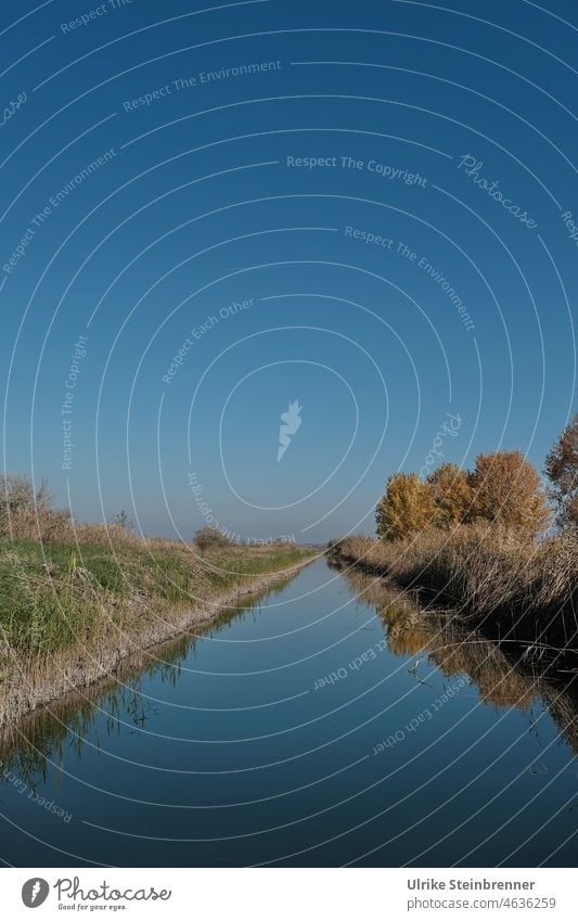 Kanal im Kiskunság-Nationalpark, Ungarn Wasser Wasserversorgung Bewässerung Entwässerung Wasserwirtschaft Herbst ufer Natur Landschaft Bäume Uferbepflanzung