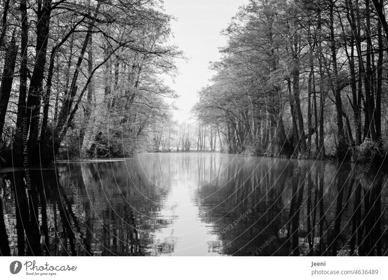 Eisige Flusslandschaft im Winter Flussufer Winterstimmung Wasser Reflexion & Spiegelung Wasserspiegelung ruhig Umwelt Wasseroberfläche Natur friedlich Idylle