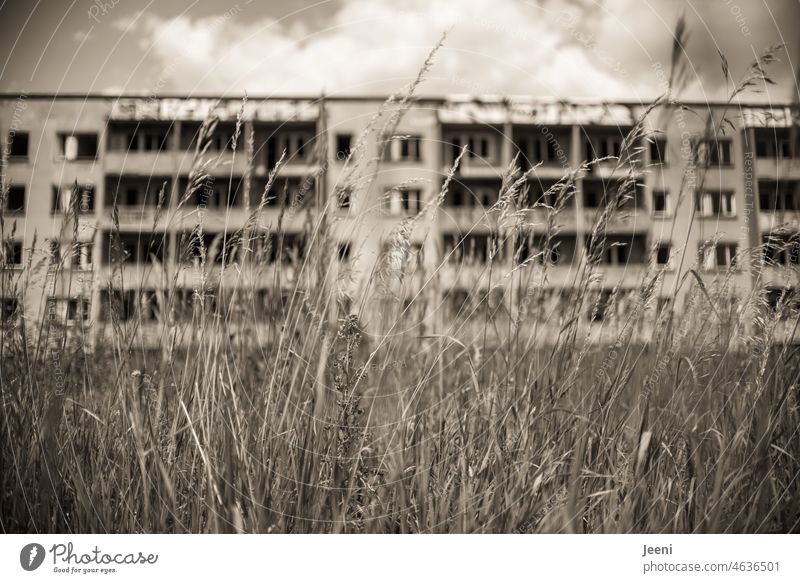 Erinnerung an vergangene Zeiten | Lost Land Love Haus Vergangenheit DDR Plattenbau Vergänglichkeit retro Stil trist Zahn der Zeit alt verfallen Verfall