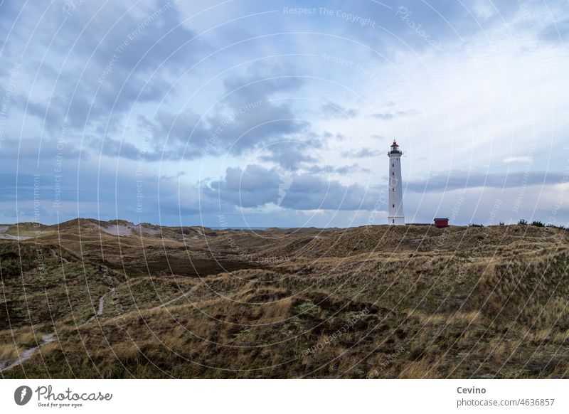 Leuchtturm in einer Dünenlandschaft Blauer Himmel Dünengras blauer Himmel mit Wolken Gras Ferne Orientierung Schiffahrtszeichen Navigation