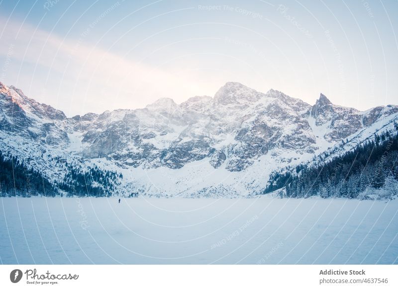 Verschneite Berge in Krakau an einem Wintertag Berge u. Gebirge Tatra Schnee Raureif Feld Natur Kamm gefroren Felsen Frost Berghang Krakow Polen kalt Wetter