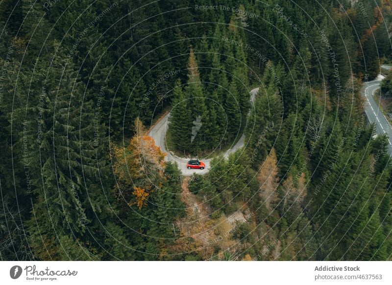 Kurvenreiche Straße durch den Wald in den Bergen Natur Berge u. Gebirge Landschaft Route Herbst Österreich Salzburg Berghang reisen Weg Baum fallen eng Asphalt