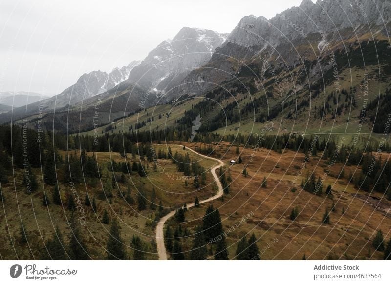 Schmale Straße zwischen Bergen und Wald Natur Berge u. Gebirge Landschaft Nebel Österreich Salzburg reisen Route eng Tourismus nadelhaltig malerisch Ambitus