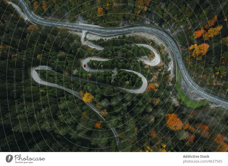 Kurvenreiche Straße durch den Wald in den Bergen Natur Berge u. Gebirge Landschaft Route Herbst Österreich Salzburg Berghang reisen Weg Baum fallen eng Asphalt