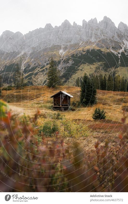 Altes Holzhaus in den Bergen Natur Berge u. Gebirge Kabine Landschaft Berghang Nebel Herbst Österreich Baum reisen Kamm Haus Wetter Dunst hölzern friedlich