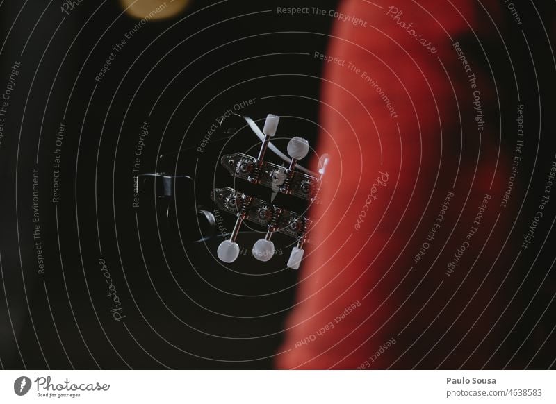 Nahaufnahme Mandoline Schnur Streichinstrumente Musik Musiker Musikinstrument Saite Klang musizieren Detailaufnahme Konzert Holz Farbfoto Kunst Innenaufnahme