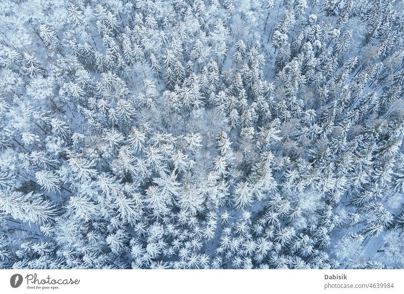 Schöner Winterwald mit verschneiten Bäumen, Luftaufnahme Schnee Wald Antenne Landschaft Berge Winterlandschaft Natur abstrakt Hintergrund schön kalt Tag Dröhnen