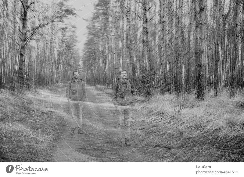 Fortschritt im Wald Wanderung Fotograf Natur wandern klimaneutrale Fortbewegung Landschaft Umwelt Wanderer Abenteuer Wanderausflug Wandertag Bäume Mann