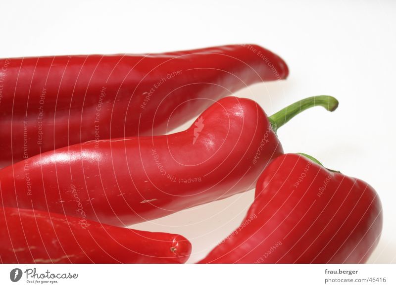 rot wie die liebe... Paprika Zusammensein Stil glänzend Gemüse rot gruppe Kontrast silleben