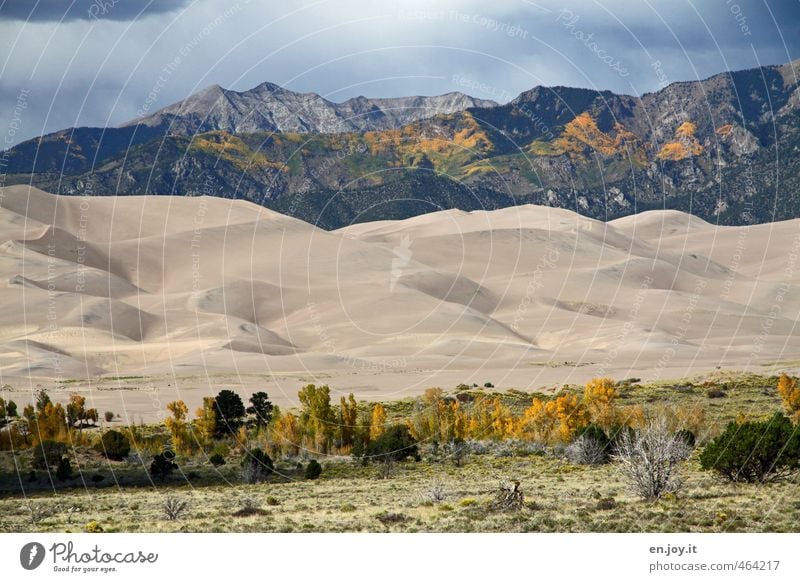 Windkanal Ferien & Urlaub & Reisen Abenteuer Ferne Berge u. Gebirge Umwelt Natur Landschaft Pflanze Sand Gewitterwolken Klima Klimawandel Wetter Gras Sträucher