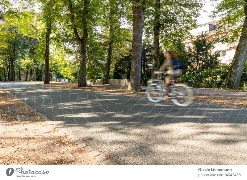 münsterpromenade mit fahrrädern und bewegungsunschärfe Münster Fahrrad Spazierweg Großstadt Nordrhein-Westfalen Fahrräder westfalen Bewegungsunschärfe Unschärfe