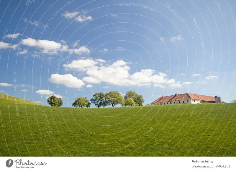 Bauernhof Umwelt Natur Landschaft Pflanze Himmel Wolken Horizont Sommer Wetter Schönes Wetter Wärme Baum Gras Blatt Wiese Hügel Haus Bauwerk Gebäude Mauer Wand