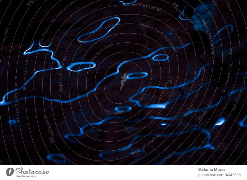 Wellen von blauen Lichtreflexen auf dunklem Hintergrund. Abstrakte Kurven Linien von fluoreszierendem Licht auf Eisfläche. Dunkler Hintergrund mit organischen, flüssigen Lichtern. Techno-Stil Textur.