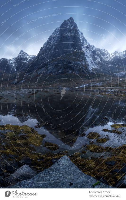 Meer im Schärengarten in Norwegen MEER fließen Inselgruppe Berge u. Gebirge Schnee Wasser Natur bedeckt Felsen Winter Umwelt Landschaft marin natürlich