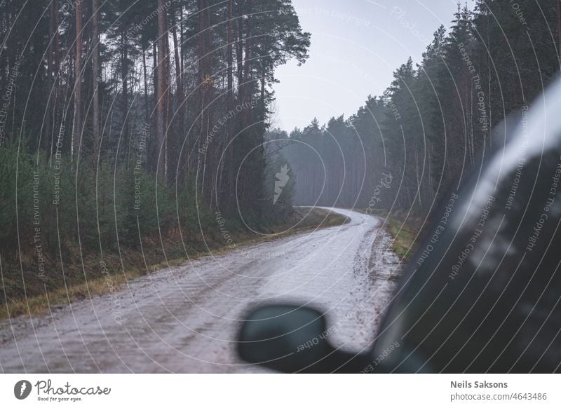 Feldweg im Kiefernwald bei Regenwetter, Auto-Silhouette Hintergrund schön blau verschwommenes Auto PKW kalt Land dreckig Wald Frost gefroren trist trüber Tag