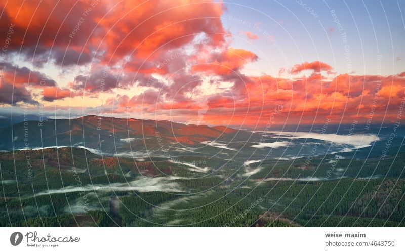 Farbenfroher Herbstsonnenaufgang über nebligem Waldgebiet. Wald bedeckt von niedrigen Wolken. Herbst ländliche Landschaft. Berge u. Gebirge Nebel Morgen Natur