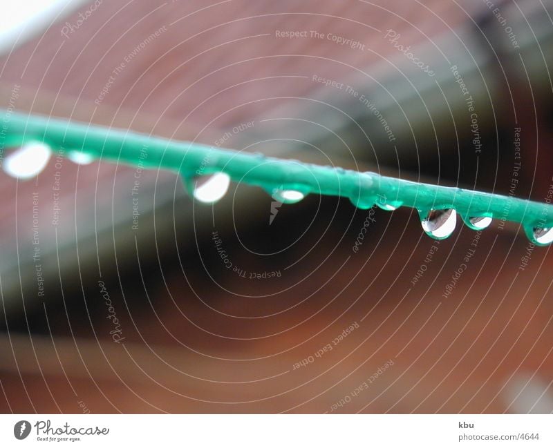 Tropfen auf der Leine Regen oben Dinge schrill-grüner Seil