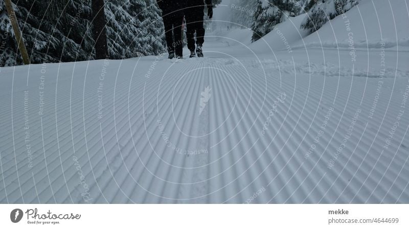 Präparierte Autobahn für Schneewanderer Winter Wald kalt Frost weiß wandern Spuren Fußspur Schneespur Schneedecke Wetter Winterstimmung Schneelandschaft