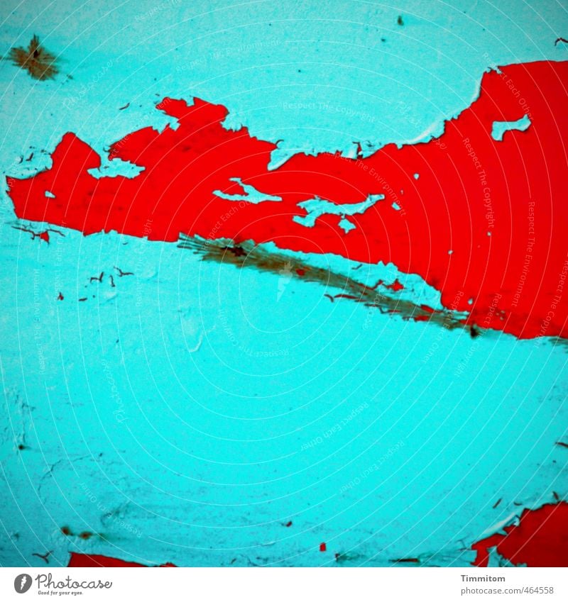 Rotes Krokodil. Schifffahrt Passagierschiff Aggression frech blau rot Gefühle Überraschung Neugier Linie Lack Schichten abblättern Farbfoto Außenaufnahme