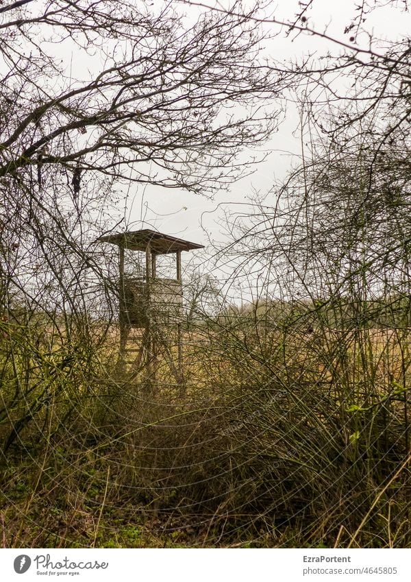 Niedrigsteh Hochsitz Natur Jagd Landschaft Baum Himmel grün Sträucher Tierschutz Umwelt Jäger Ansitz Versteck