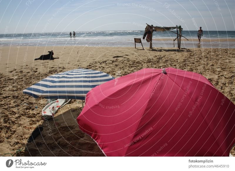 Strandleben; Meer, Sonnenschirme, Mensch und Hund Ferien & Urlaub & Reisen Erholung Sommerurlaub Urlaubsstimmung Strandspaziergang Fernweh Freiheit Sand Küste