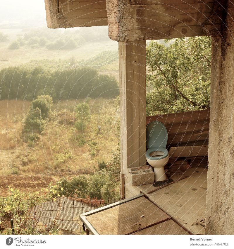 Stilles Örtchen Toilette grau grün weiß Baustelle Beton Aussicht anlehnen Unbewohnt Baum Sträucher Stein unvollendet Zaun Dach oben falltür trüb Dunst