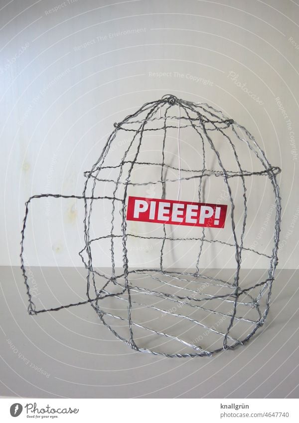 Pieeep! Vogelkäfig leer Piep Vogel entflogen abgehauen Freiheit gefangen eingesperrt Gitter Käfig Tier Haustier Nahaufnahme Menschenleer Farbfoto DIY Käfigtür