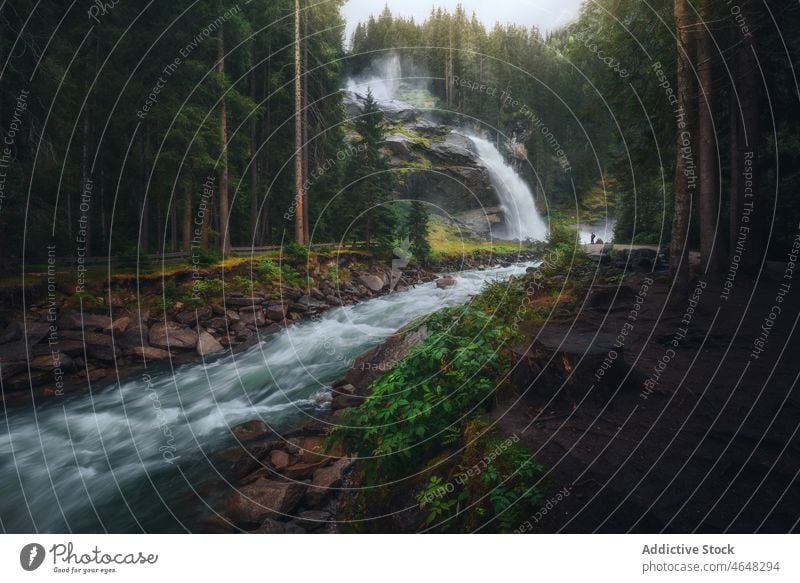 Der Krimmler Wasserfall fließt durch den Wald strömen Fluss Bach Natur Waldgebiet Felsen Klippe Ufer Wälder Landschaft Umwelt Pflanze fließen malerisch Stein