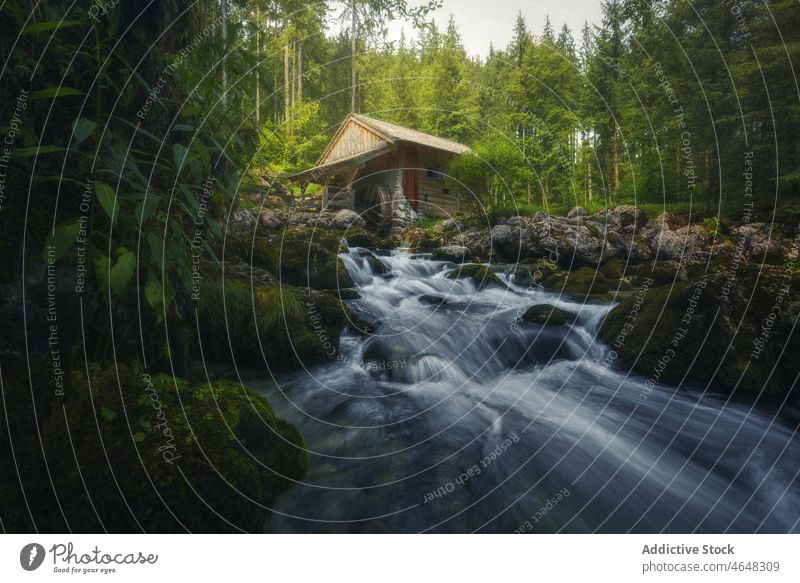 Wassermühle am fließenden Bach zwischen Bäumen Salzburg Gebäude Cottage Landschaft strömen Wald Baum Natur Felsbrocken Felsen Waldgebiet Ufer Energie Wälder