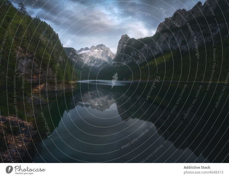 Gosauseen gegen Bergkamm Fluss Wasser Berge u. Gebirge Wald Baum Felsen Waldgebiet bedeckt Stein Ambitus Kamm Landschaft wolkig majestätisch Umwelt Windstille