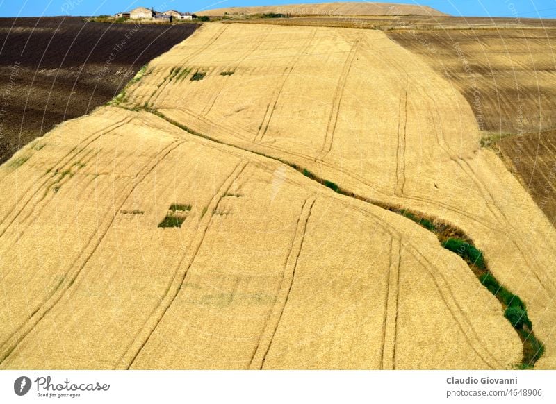 Landschaft entlang der Straße von Termoli nach Serracapriola, Süditalien Adriatico Apulien Campobasso Europa Foggia Italien Juni Molise Ackerbau Farbe Tag Feld