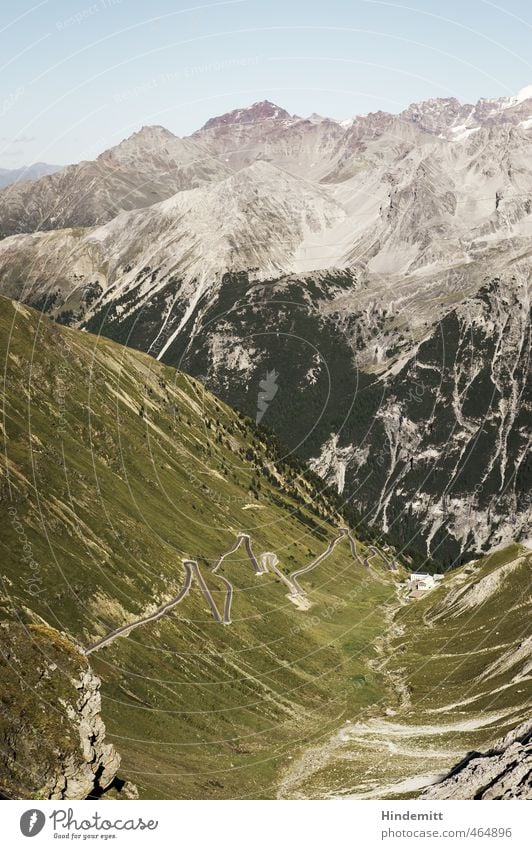 Vom Stilfserjoch Himmel Wolkenloser Himmel Sommer Wetter Schönes Wetter Baum Gras Wiese Wald Hügel Felsen Alpen Berge u. Gebirge Schneebedeckte Gipfel Alm