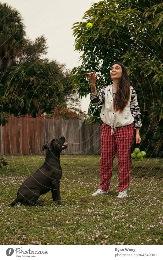 Mädchen spielt mit Pitbull mit Tennisball. Staffordshire-Terrier rennen seilhüpfen beißend aufgeregt springend Glück Ohrfeige Freude Garten Park Gras Frau