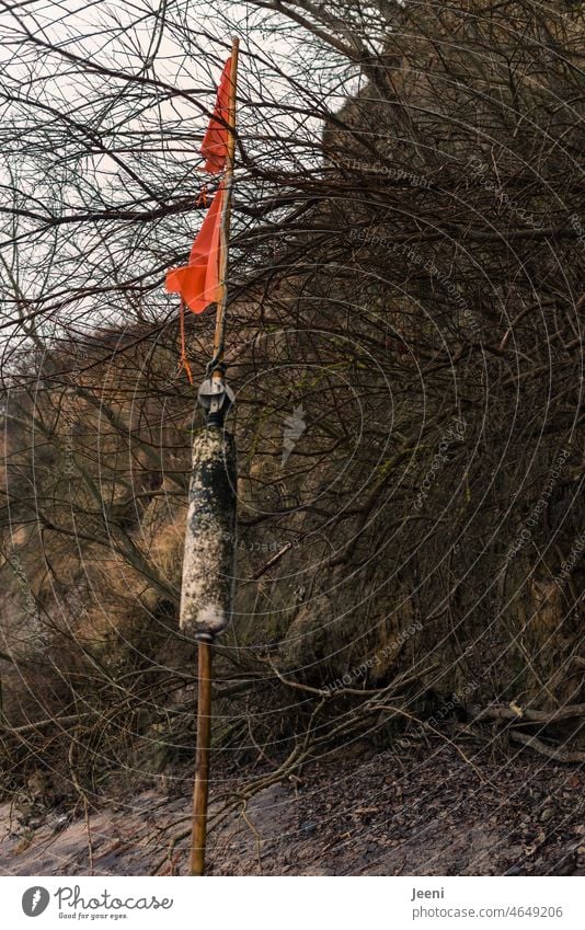 Bei Sturm an den Strand angespülte Fischerboje Boje Sträucher verfangen Angespült Küste Strandgut Fischereiwirtschaft rot Angler Wasser Meer Ostsee