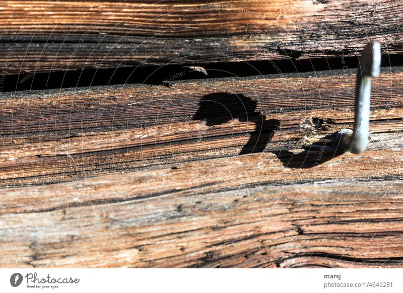 Herr Schlangenhals präsentiert erst im Schattenwurf sein wahres Gesicht. Fensterriegel auf verwittertem Holz. Holzwand einzigartig 1 unbeirrbar authentisch