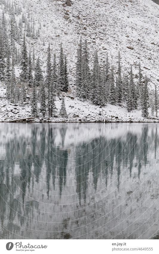 Wintereinbruch Schnee See Seeufer Spiegelung Reflexion & Spiegelung Bergsee Berge u. Gebirge Menschenleer Ferien & Urlaub & Reisen ruhig Landschaft Wasser