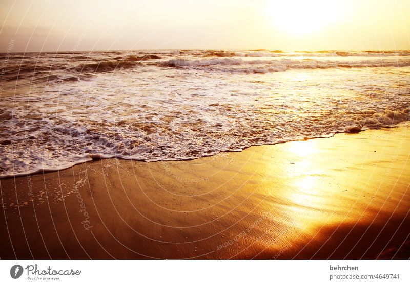 sonnentag Ferien & Urlaub & Reisen Sonne Licht Ferne Küste träumen Hoffnung Menschenleer Sonnenaufgang Morgendämmerung Strand Meer Horizont Sommer fantastisch