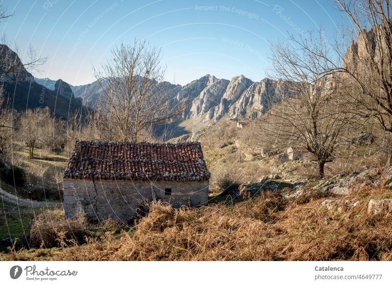 Haus in den Bergen Landschaft Natur Tag Himmel Sträucher Vegetation Pflanzen Umwelt Grün Tageslicht Gras Bauwerk Wandel Vergangenheit Ruine Baum Wiesen