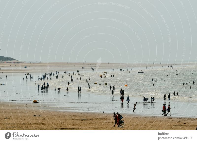 viele Menschen am Strand Strandleben Sommer Urlaub Baden gehen seichtes Wasser spazierengehen Freizeit & Hobby vereisen Ferien & Urlaub & Reisen