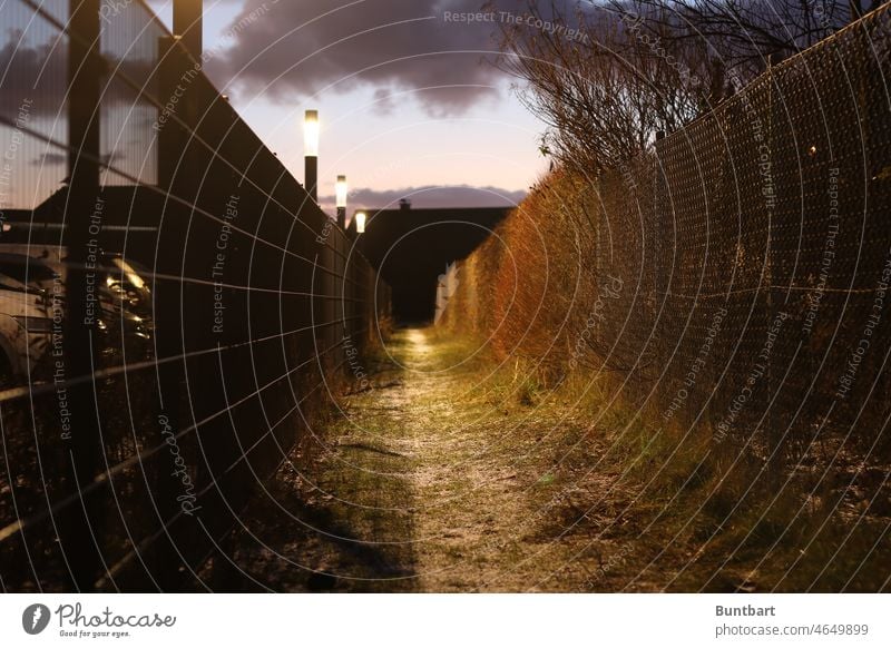 Shadow Walker Außenaufnahme aus Laterne Staubwedel düster düstere Atmosphäre Dunkelheit dunkel Zaun Hecke Sandweg Weg Schatten Nacht Langzeitbelichtung