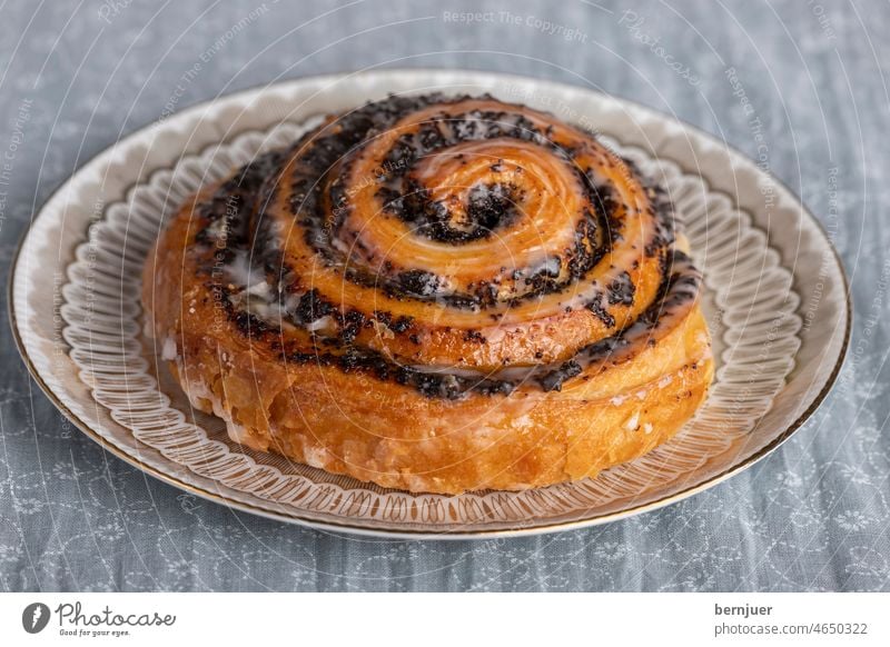 Nahaufnahme des Mohnstrudels Mohnschnecke Whirlpools Samen niemand Kekse Teller Zucker Dessert Essen selbstgemacht lecker traditionell braun Bäckerei Kuchen