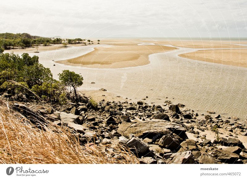 Mangroven am Strand Sand Wasser Himmel Wolken Sommer Baum Meer Pazifik Karibisches Meer Wärme Ferien & Urlaub & Reisen Ebbe Australien Stein Farbfoto