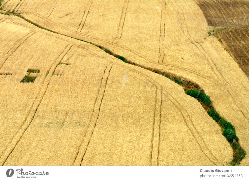 Landschaft entlang der Straße von Termoli nach Serracapriola, Süditalien Adriatico Apulien Campobasso Europa Foggia Italien Juni Molise Ackerbau Farbe Tag Feld