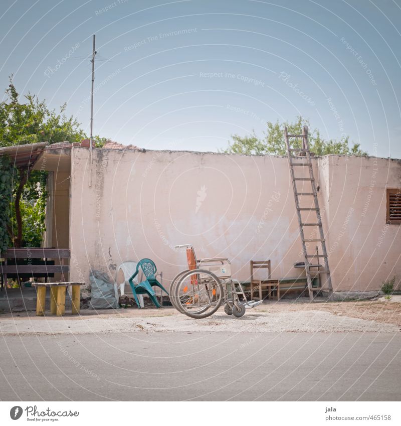 rolli Himmel Schönes Wetter Pflanze Haus Bauwerk Gebäude Mauer Wand Fassade trocken Stadt Rollstuhl Farbfoto Außenaufnahme Menschenleer Textfreiraum oben