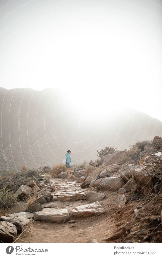 #A0# Abenteuer Kanaren VI zukunftsweisend Zukunftsaussichten Zukunftsorientiert Frauenpower Wanderer wandern Wanderung Wandertag Wanderausflug wanderlust