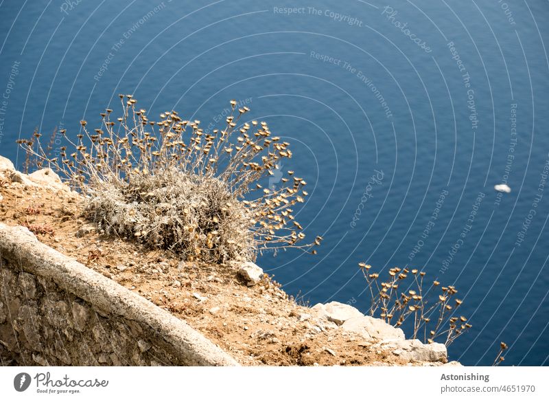 Mauer Sand und Meer Capri Wasser unten blau weiß Steine Trockenheit Meeresboden klar Ufer Küste Steinmauer Landschaft Natur Strand Küstenlinie Urlaub Bucht MEER