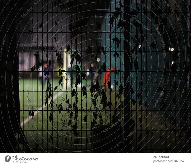 Blick auf erleuchteten Fußballplatz bei Nacht mit schemenhaften Spielern durch Zaun mit Blättern Flutlicht Rasen Tor Torlinie Training trainieren Sport Stadt